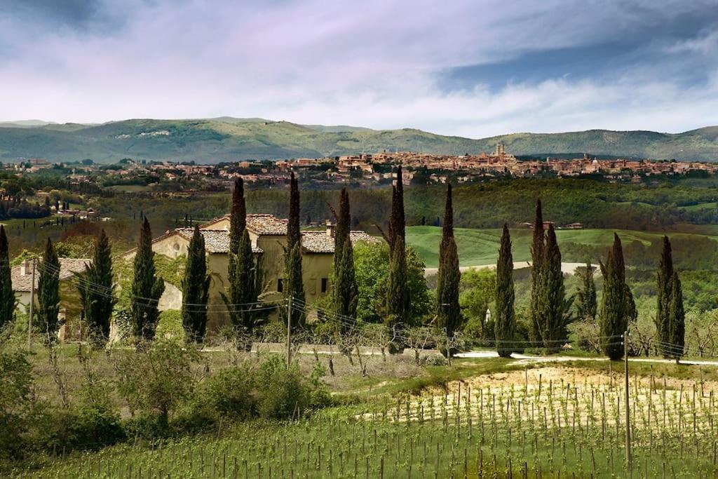 Allegretti Agriturismo Castelnuovo Berardenga Εξωτερικό φωτογραφία