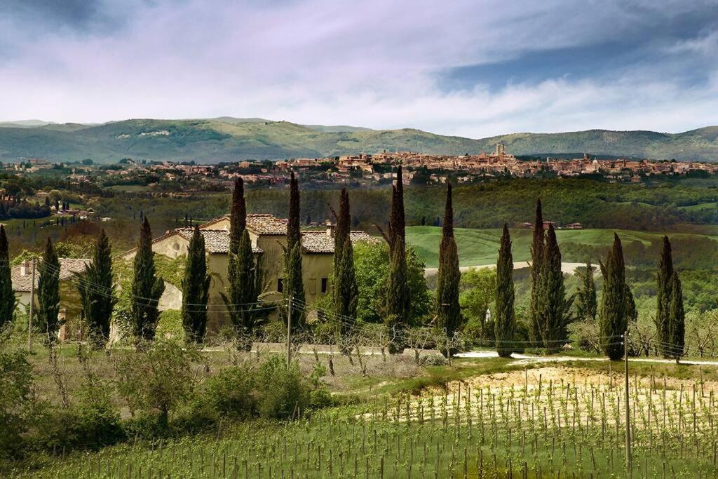 Allegretti Agriturismo Castelnuovo Berardenga Εξωτερικό φωτογραφία
